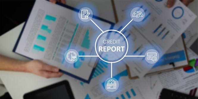 Check company credit report1